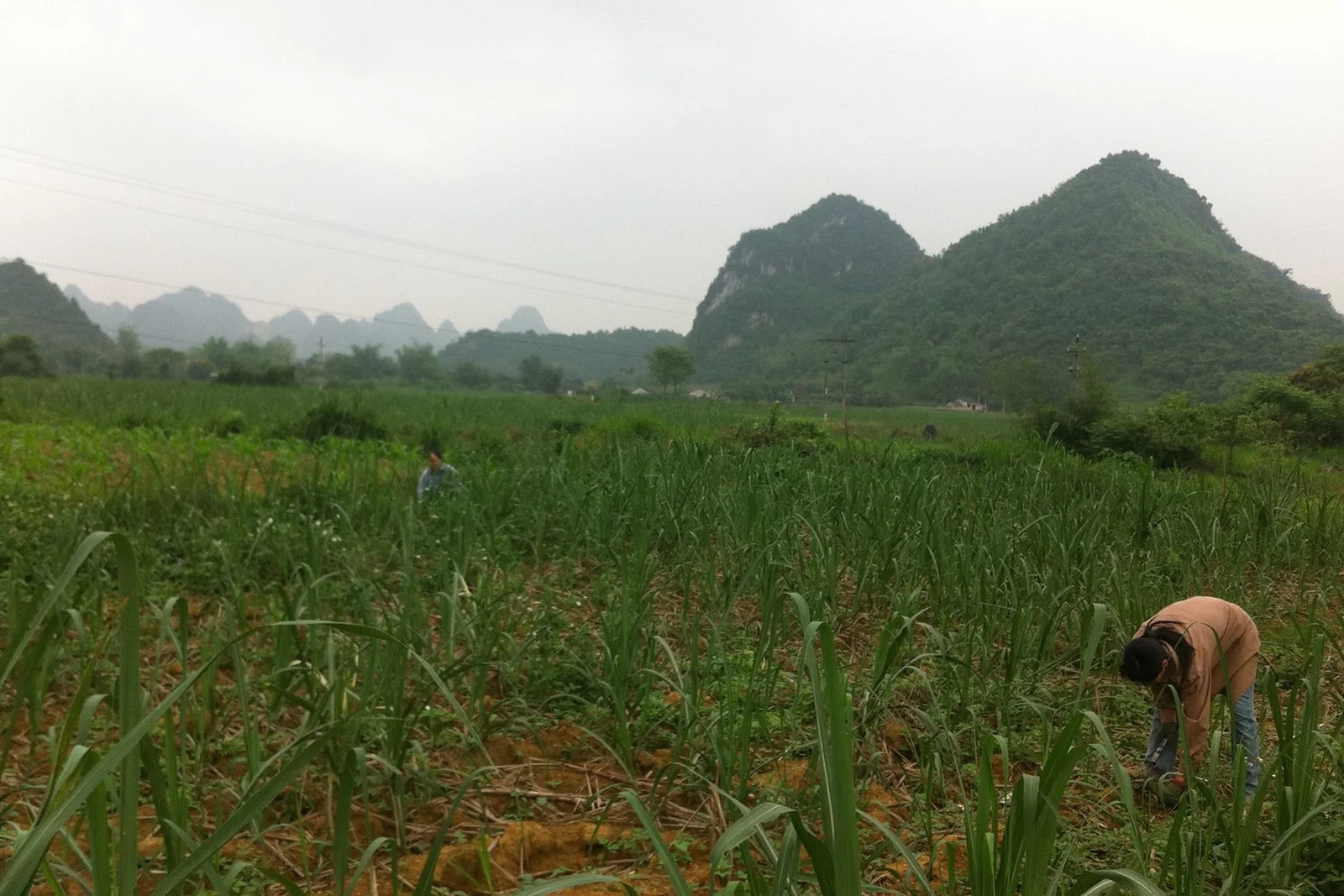 Phuc Hoa Cao Bang