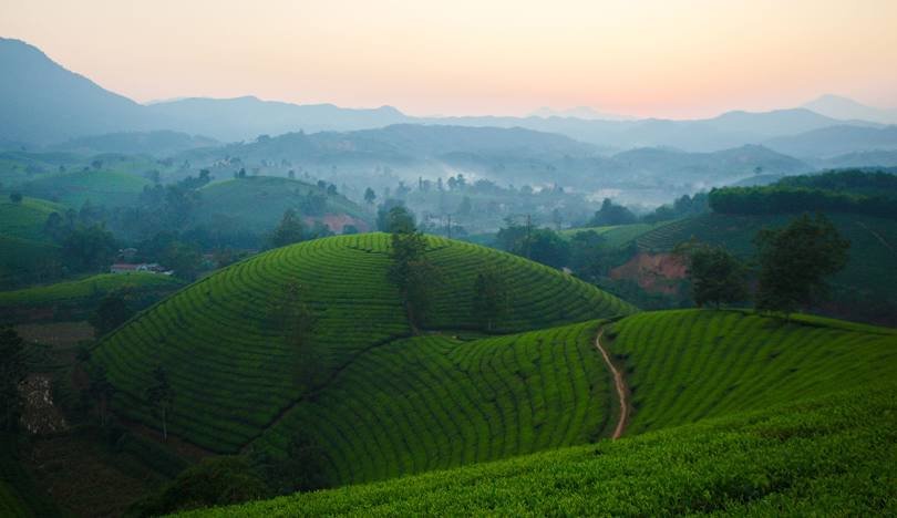 Phu Tho Tour Packages