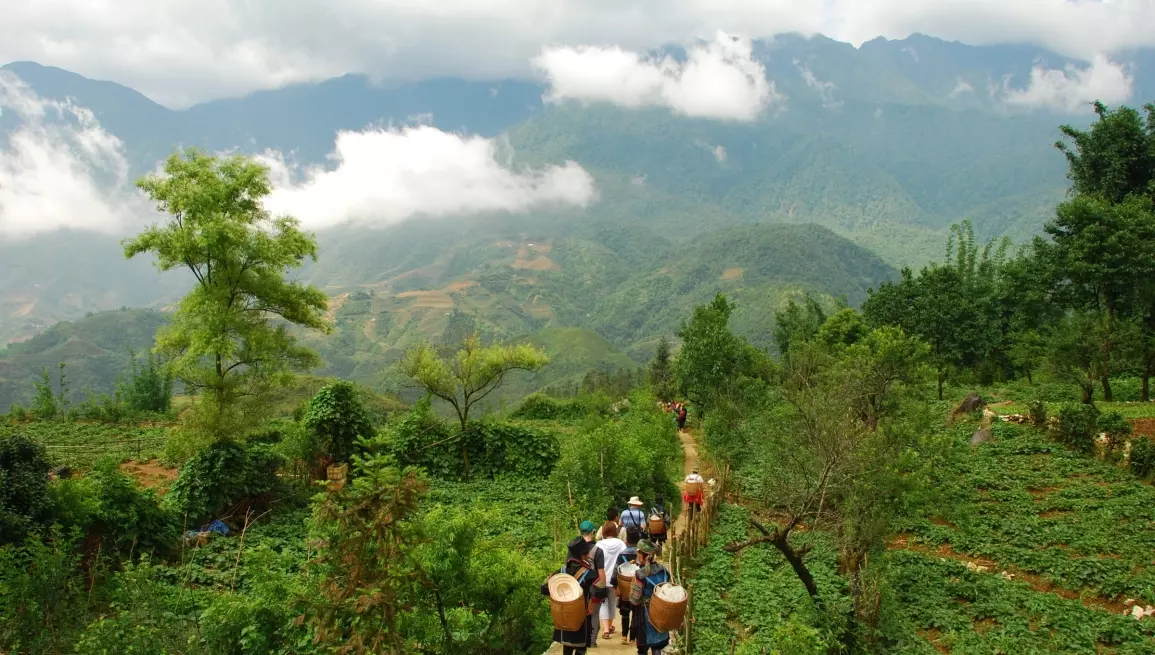 Top 3 places to hike in northern Vietnam: on and off the beaten track