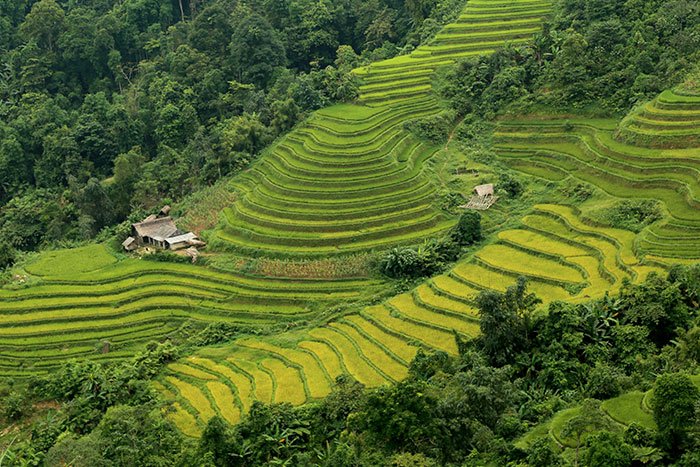 The 6 most beautiful hike trails in Northern Vietnam